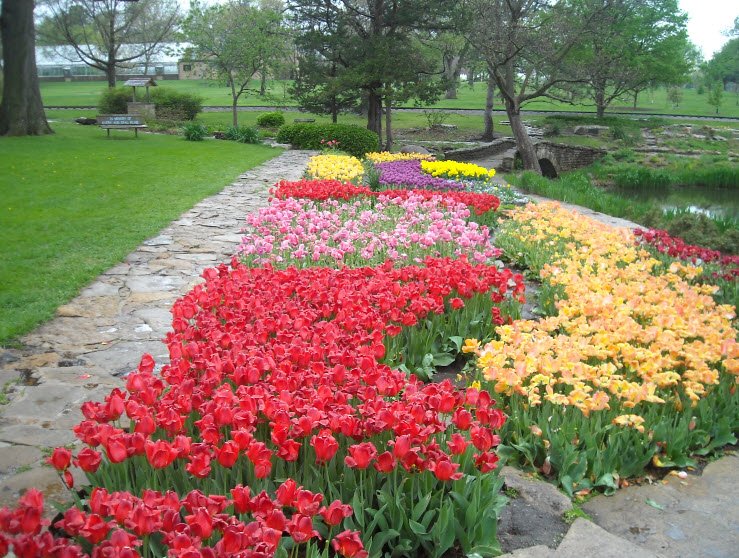 Reinisch Rose Gardens, United States